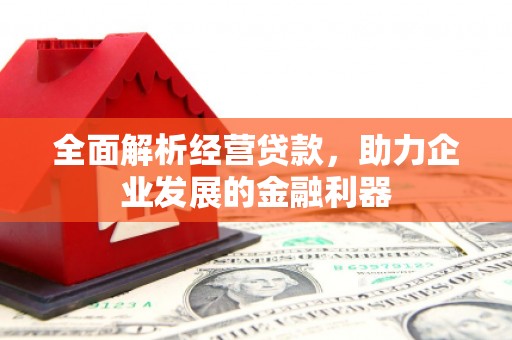 寮步全面解析经营贷款，助力企业发展的金融利器