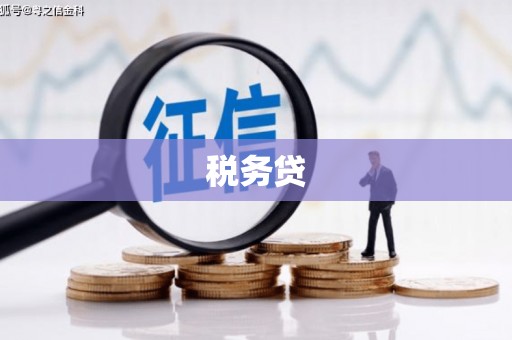 寮步税务贷