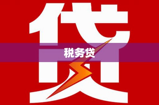 寮步税务贷