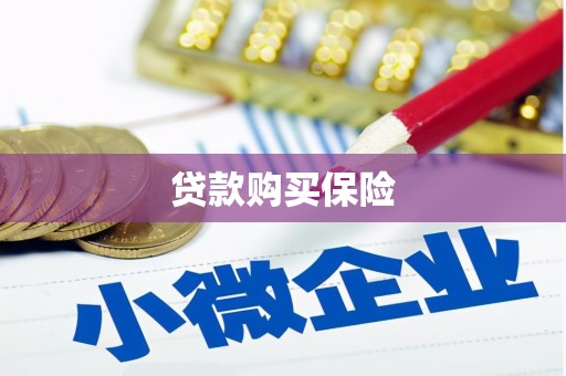 寮步贷款购买保险