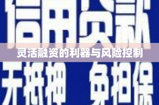 寮步灵活融资的利器与风险控制