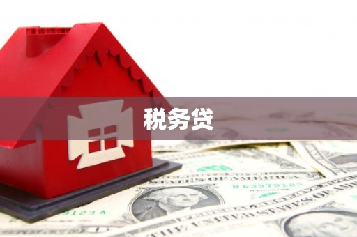 寮步税务贷