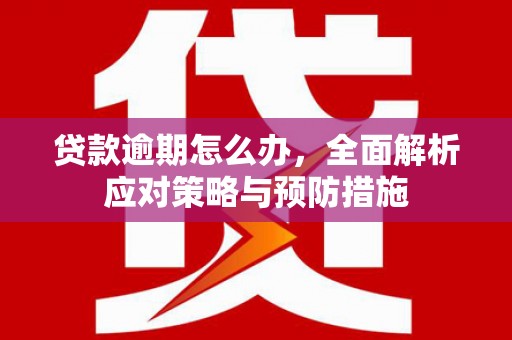 寮步贷款逾期怎么办，全面解析应对策略与预防措施