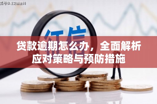 寮步贷款逾期怎么办，全面解析应对策略与预防措施