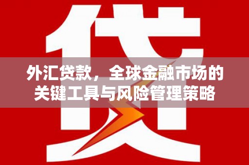 寮步外汇贷款，全球金融市场的关键工具与风险管理策略