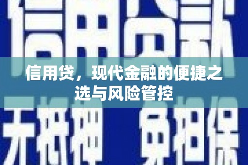 寮步信用贷，现代金融的便捷之选与风险管控