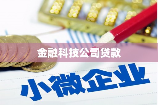 寮步金融科技公司贷款