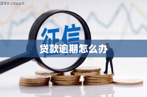 寮步贷款逾期怎么办