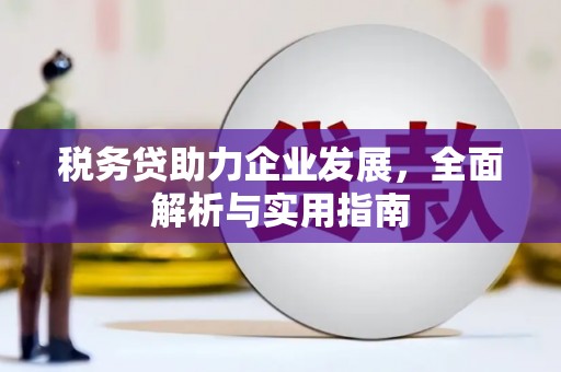 寮步税务贷助力企业发展，全面解析与实用指南