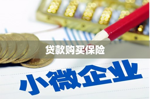寮步贷款购买保险