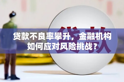 寮步贷款不良率攀升，金融机构如何应对风险挑战？