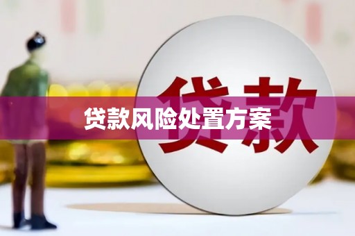 寮步贷款风险处置方案