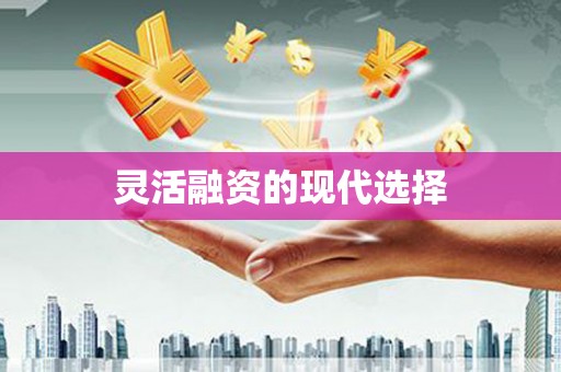 寮步灵活融资的现代选择